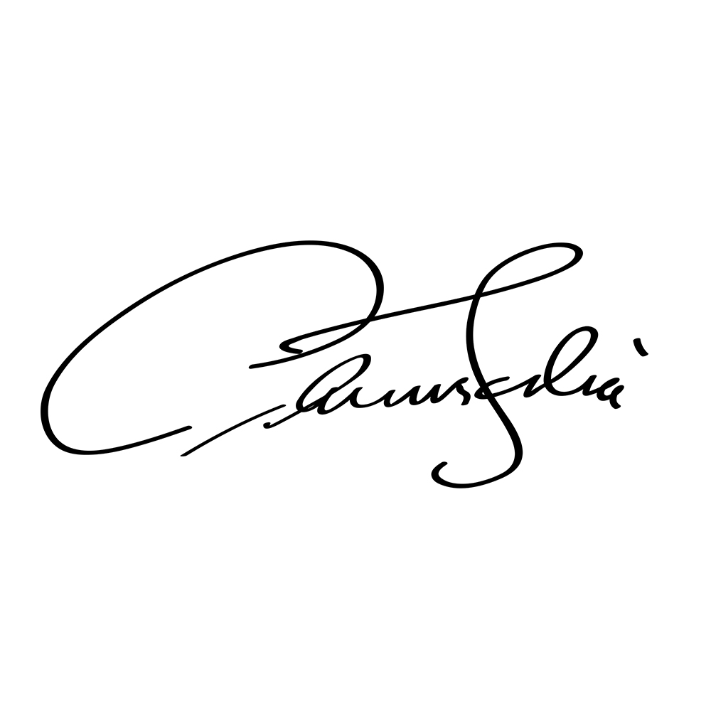 Director signature